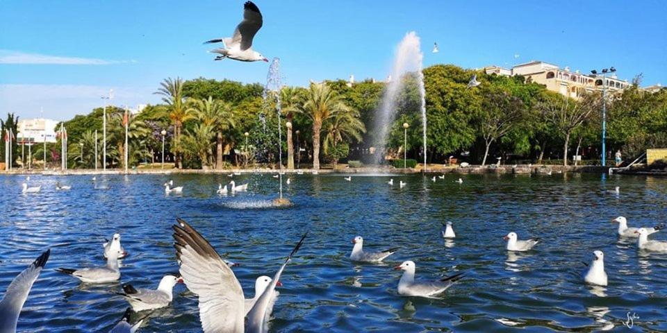 Torrevieja Experience Mar 2 아파트 외부 사진